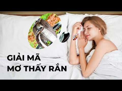 con rắn lột da tượng trưng cho sự đổi mới