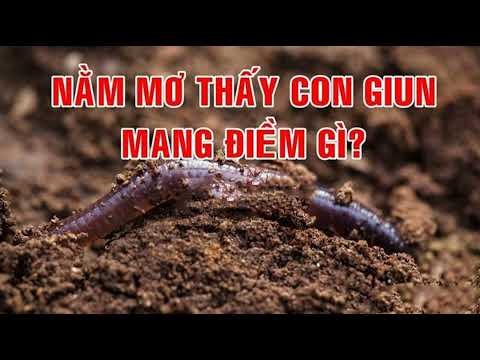 giun đất