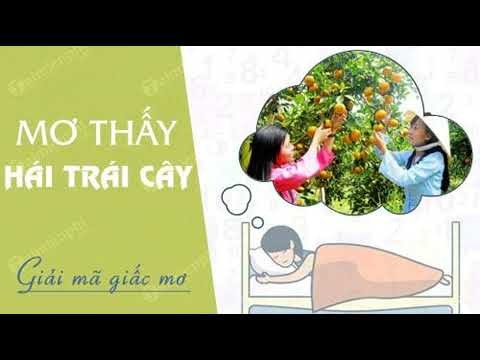 hái trái cây chín