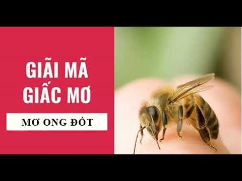 Một người đang bị ong đốt