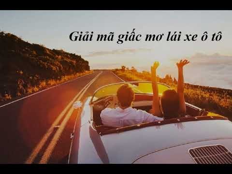 Nằm mơ thấy lái xe ô tô thường tượng trưng cho sự chủ động và khả năng kiểm soát cuộc sống
