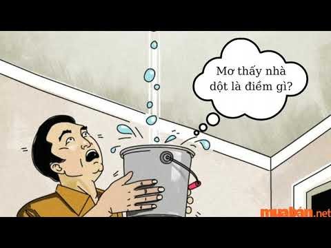 người đang lo lắng vì nhà dột